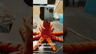 кастомный 3д принтер, собирал сам ещё в школе