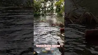 #shorts #flood
