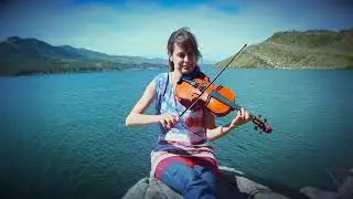 Violin cover.