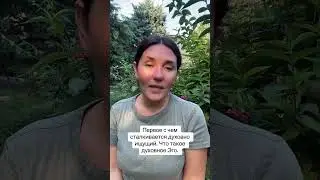 Духовное эго 