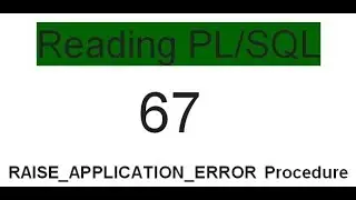 RAISE APPLICATION ERROR Procedure 67