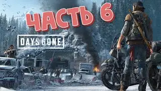 Прохождение Days Gone - Жизнь после. Часть 6