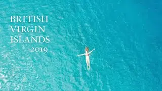BVI 2019