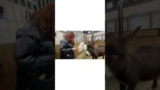 Наездница и кормилица 