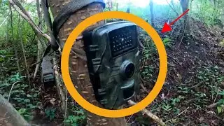 Placing trail cameras in woods to Catch a bigfoot
