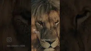 Некогда не доводите людей