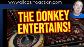 LIVE CASINO ACTION! THE DONKEY RETURNS!! Sept 3rd 2024