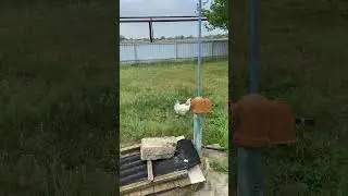 Переезд с Рублевки на юг