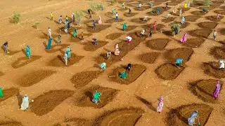 Đây là cách người Châu Phi đang PHỦ XANH SA MẠC SAHARA