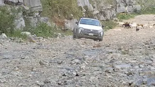 Ram 700 en problemas-Parte 1