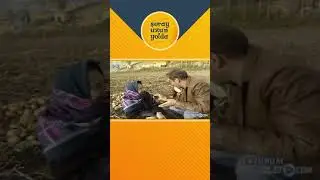 Kuma Kabul Eden Teyze 😯 | Şoray Uzun Yolda