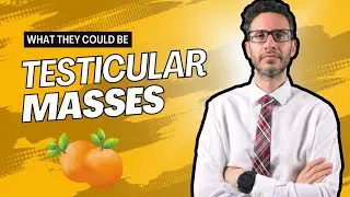 Testicular Masses | Urologist discusses what they could be and whether they are dangerous