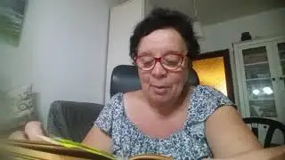 17Аркадий Гайдар.Школа видео17