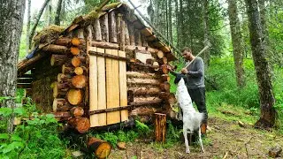 Building a Log Cabin: Finishing Touches and Reflection