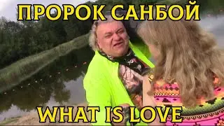 Пророк Санбой - What Is Love (Haddaway cover) 