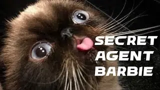 Secret Agent Barbie Speedrun (14:40) *Former WR*