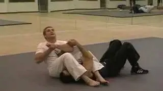 Police Jiu Jitsu  www.policejiujitsu.com