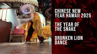 Hawaii Chinese New Year 2025 - Drunken Lion Dance 4k