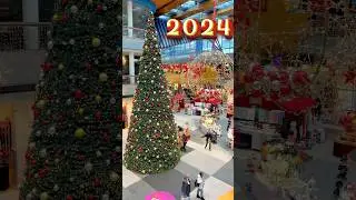 С Новым 2024 годом! Особые пожелания. 