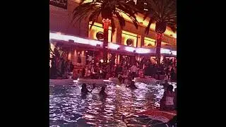 [Free] Brazilian Phonk + Club + TikTok type beat “night party” - prod. angcad x helpsisleet