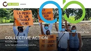 Collective Action by the Team of CoopeSoliDar