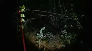 Live misteri || BAR BAR Wewegombel