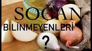 SOĞAN / BİLİNMEYENLERİ / neymiş soğan her derde deva !