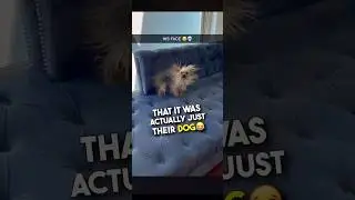 The way he looks at the camera 😂🤣 
