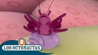 Los Octonautas Oficial en Español - El cangrejo sin hogar | Compilación
