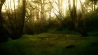 Ulver, lost in moments