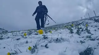 Spring in Snow at Dolomites Unesco Italy 🇮🇹