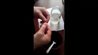 Эксперемент с семенами Бонсай(sakura)