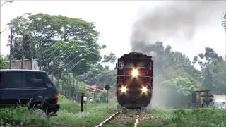 TRENS TREM MELHORES MOMENTOS CANAL FARINA DO PARANÁ HD