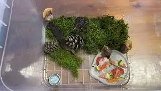 Эффективное средство для сохранения и поддержания вашей красоты, молодости и здоровья.