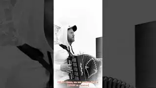 Кино - Мама, мы все тяжело больны (cover на гармони)