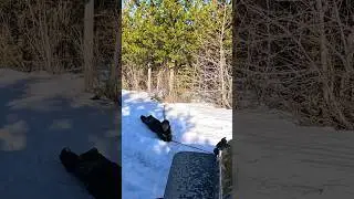 Paralyzed Solo Self Recovery!