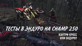 Первое место в кантри кросс на Husqvarna 450 и тесты в эндуро на Champ 250 с Lanza мотором