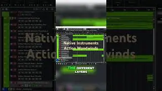 Native Instruments - Action Woodwinds - The Sampleist