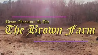 The Brown Farm