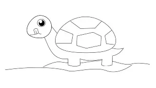HOW TO DRAW A TORTOISE