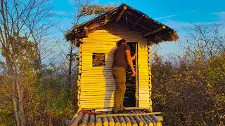 How I Built a Treehouse From Scratch, From Start to Finish