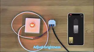 Discover the future of light with GLEDOPTO's ultra-thin ZigBee 3.0 Triac AC Dimmer!