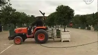 Версальский Парк (Сады, Большой и Малый дворец Трианон)