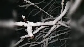 15 февраля 2020 г.