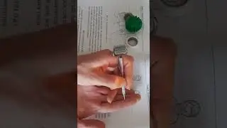 Как помочь себе, если болит горло? Су джок Семянотерапия🌱 