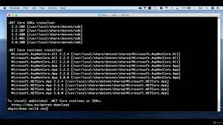 2  Creating the DotNet Core WebAPI using the DotNetCLI