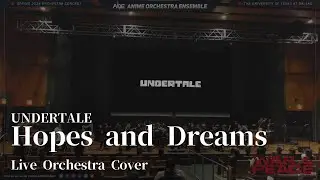 Undertale - Hopes and Dreams【Live Orchestra Cover】