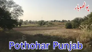 Natural Beauty of Pothohar | Talagang Chakwal |
