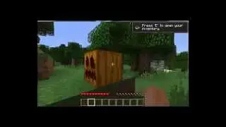 Впервые в Maincraft / for the first time in the Maincraft