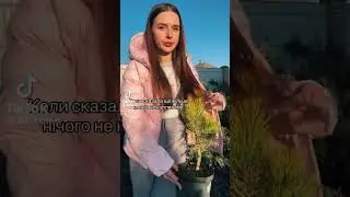 Рассада. Юмор. Цветы. Flowers. #shortvideo #shortvid #рек